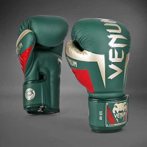 Photo1: VENUM Boxing Glove Elite Special Edition Green (1)