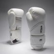 Photo2: VENUM Boxing Glove CHALLENGER 4.0 Scales Ivory (2)