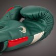 Photo4: VENUM Boxing Glove Elite Special Edition Green (4)