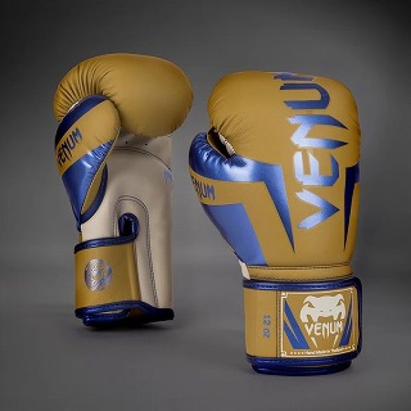 Photo1: VENUM Boxing Glove Elite Special Edition Camel (1)
