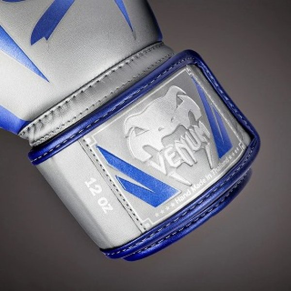 Photo3: VENUM Boxing Glove Elite Special Edition Gray (3)