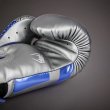 Photo4: VENUM Boxing Glove Elite Special Edition Gray (4)