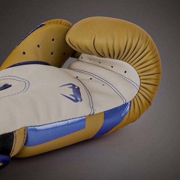Photo4: VENUM Boxing Glove Elite Special Edition Camel (4)