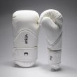Photo1: VENUM Boxing Glove CHALLENGER 4.0 Scales Ivory (1)