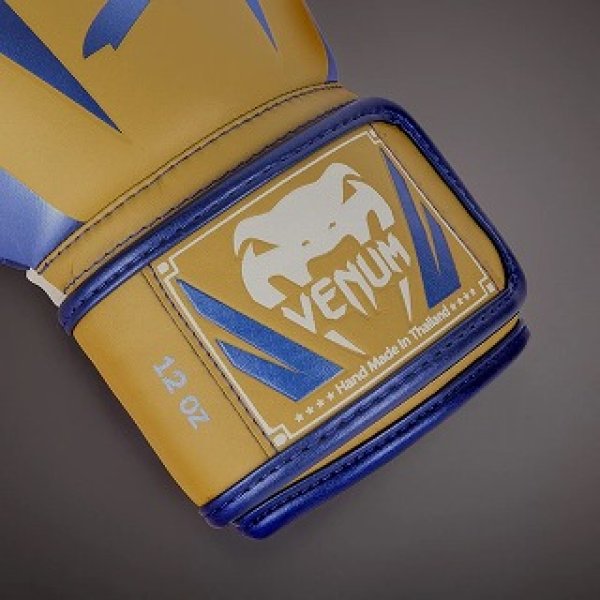 Photo3: VENUM Boxing Glove Elite Special Edition Camel (3)