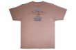Photo2: BULL TERRIER T-Shirt JAPAN Pink (2)