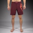 Photo1: VENUM Fight Shorts Light 5.0 Dark Brown/Terracotta (1)