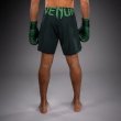 Photo3: VENUM Fight Shorts Light 5.0 Forest Green/Light Green (3)