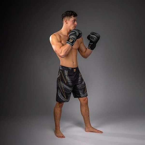 Photo6: VENUM Fight Shorts Matupa Black/Gray/Gold (6)