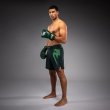 Photo6: VENUM Fight Shorts Light 5.0 Forest Green/Light Green (6)
