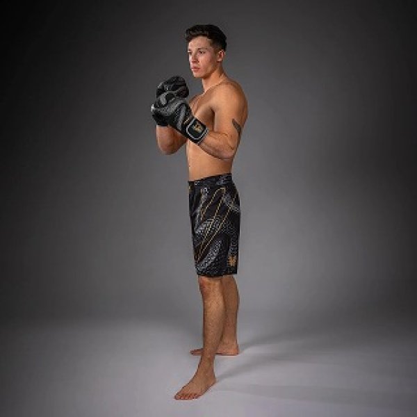 Photo5: VENUM Fight Shorts Matupa Black/Gray/Gold (5)