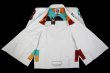 Photo2: BULLTERRIER Jiu-Jitsu Gi PAINT White (2)