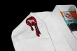 Photo6: BULLTERRIER Jiu-Jitsu Gi PAINT White (6)