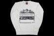 Photo1: BULL TERRIER Sweatshirt BORN TO FIGHT White (1)