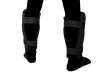 Photo2: BULL TERRIER Leg Supporter DX Black (2)