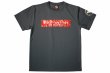 Photo1: BULL TERRIER Dry Fit T-Shirt BASIC LOGO Gray (1)