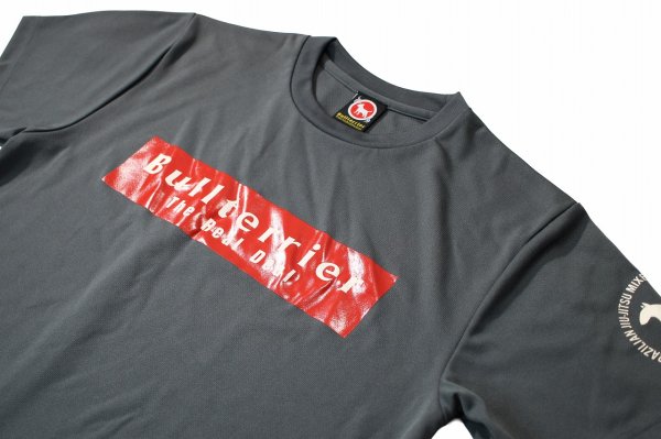 Photo3: BULL TERRIER Dry Fit T-Shirt BASIC LOGO Gray (3)