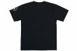 Photo2: BULL TERRIER Dry Fit T-Shirt BASIC LOGO Black (2)