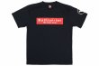 Photo1: BULL TERRIER Dry Fit T-Shirt BASIC LOGO Black (1)