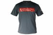 Photo4: BULL TERRIER Dry Fit T-Shirt BASIC LOGO Gray (4)