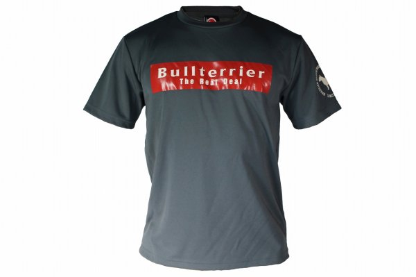 Photo4: BULL TERRIER Dry Fit T-Shirt BASIC LOGO Gray (4)