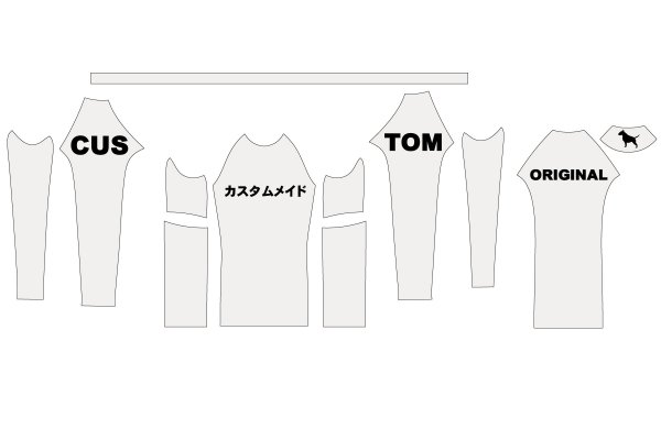 Photo3: Custom Rash Guard (3)