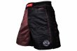 Photo2: BULL TERRIER Fight Shorts RANK 5.0 Brown (2)