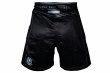 Photo3: BULL TERRIER Fight Shorts RANK 5.0 Black (3)