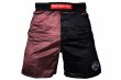 Photo1: BULL TERRIER Fight Shorts RANK 5.0 Brown (1)
