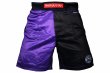 Photo1: BULL TERRIER Fight Shorts RANK 5.0 Purple (1)