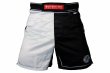 Photo1: BULL TERRIER Fight Shorts RANK 5.0 White (1)