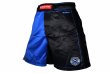 Photo2: BULL TERRIER Fight Shorts RANK 5.0 Blue (2)