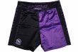 Photo5: BULL TERRIER Fight Shorts RANK 5.0 Purple (5)