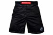 Photo1: BULL TERRIER Fight Shorts RANK 5.0 Black (1)