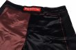 Photo6: BULL TERRIER Fight Shorts RANK 5.0 Brown (6)