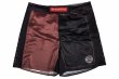 Photo4: BULL TERRIER Fight Shorts RANK 5.0 Brown (4)