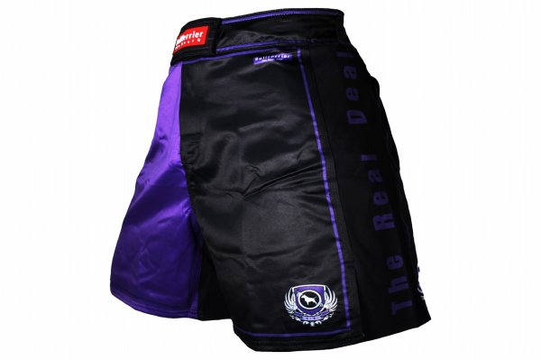 Photo2: BULL TERRIER Fight Shorts RANK 5.0 Purple (2)