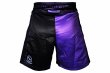 Photo3: BULL TERRIER Fight Shorts RANK 5.0 Purple (3)