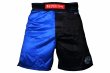 Photo1: BULL TERRIER Fight Shorts RANK 5.0 Blue (1)