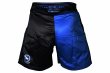 Photo3: BULL TERRIER Fight Shorts RANK 5.0 Blue (3)