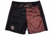Photo5: BULL TERRIER Fight Shorts RANK 5.0 Brown (5)