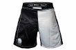 Photo3: BULL TERRIER Fight Shorts RANK 5.0 White (3)