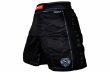 Photo2: BULL TERRIER Fight Shorts RANK 5.0 Black (2)