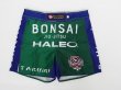 Photo16: Custom Fight Shorts (16)