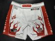 Photo12: Custom Fight Shorts (12)