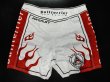 Photo13: Custom Fight Shorts (13)