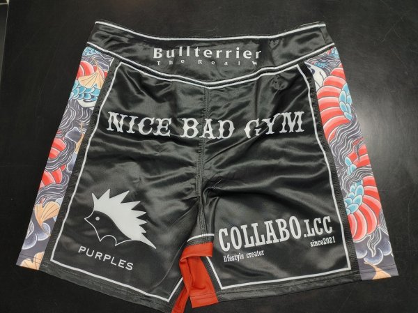 Photo21: Custom Fight Shorts (21)