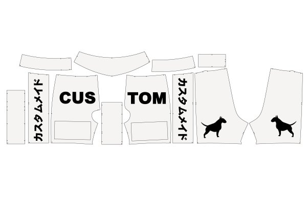 Photo3: Custom Fight Shorts (3)