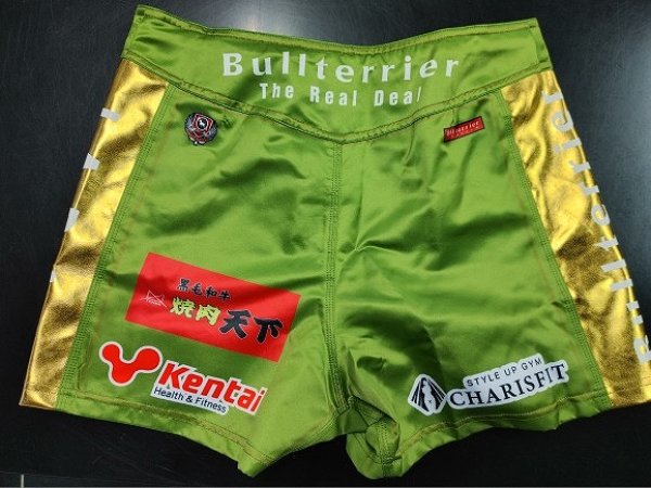 Photo9: Custom Fight Shorts (9)