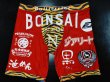 Photo8: Custom Spats (8)